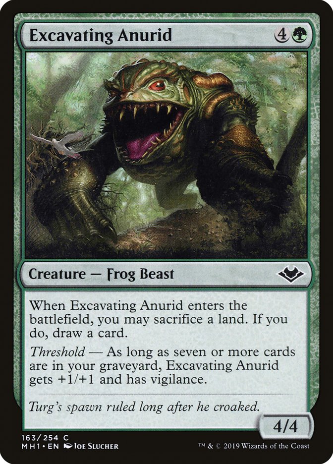 Excavating Anurid [Modern Horizons]