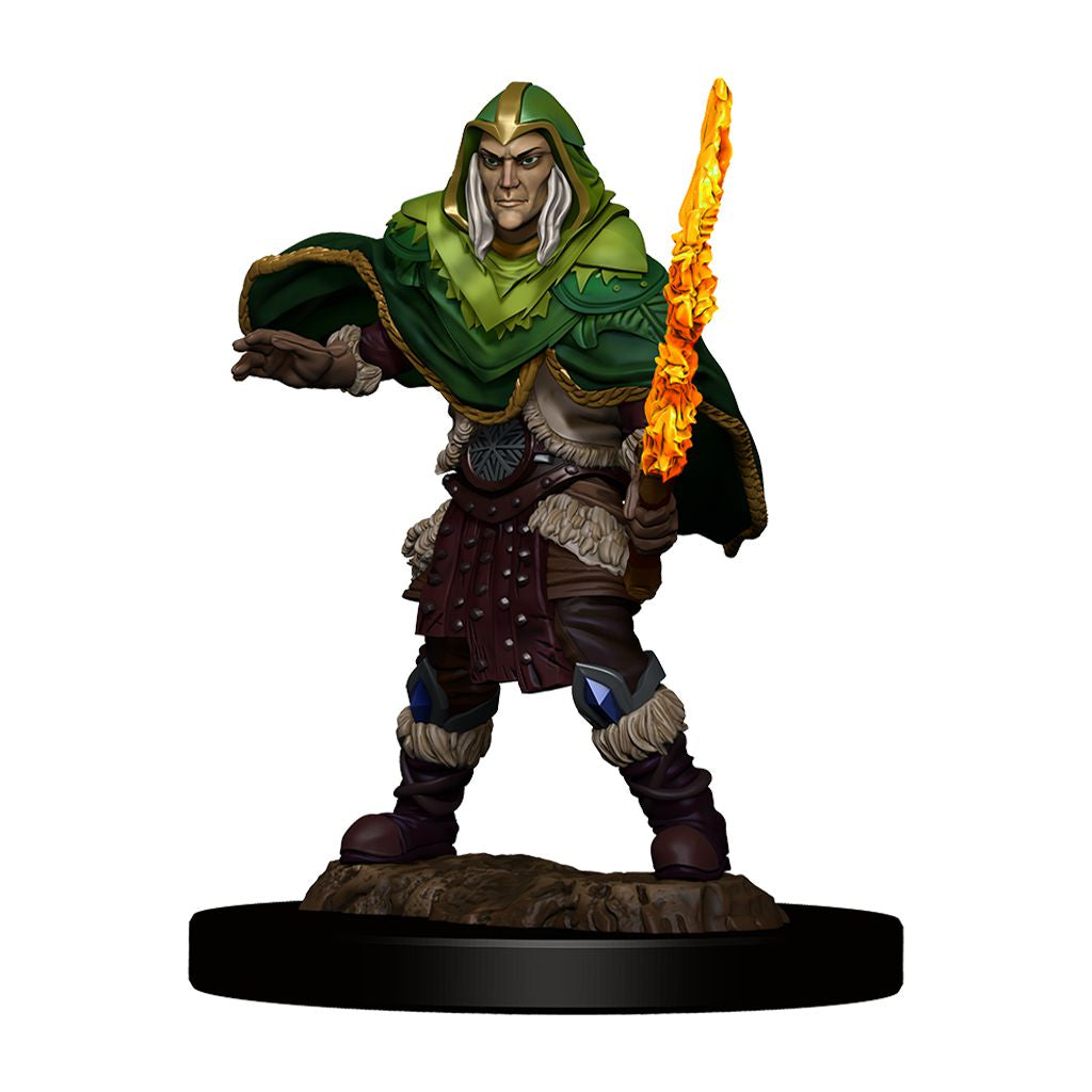 DND Icons O/T Realms Elf Fighter Male Prem
